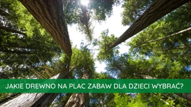 Jakie drewno na plac zabaw? Wybierz najtrwalsze i bezpieczne opcje Jakie drewno na plac zabaw? Wybierz najtrwalsze i bezpieczne opcje